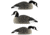 Avian X Honker Shell Decoys, Black, Pack of 6, 9010