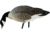 Avian X Outfitter Pack AXF Lessers Decoy, AVX-AVX9033