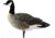 Avian X Outfitter Pack AXF Lessers Decoy, AVX-AVX9033