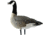 Avian X Outfitter Pack AXF Lessers Decoy, AVX-AVX9033