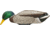 Avian X Power Shaker Mallard Drake Surface Feeder Decoy, Synthetic, AVXPSHMDSF