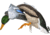 Avian X Powerflight Smart Mallard Decoy, Black, AVX-AVXDP100