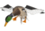 Avian X Powerflight Smart Mallard Decoy, Black, AVX-AVXDP100