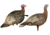 USED Avian X Rio Lookout Jake/Hen Combo Decoy, AVX-AVX8010, EDEMO1