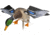 Avian X Spinning Wing Duck Decoys, AVX-AVXDP101