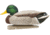 Avian X Topflight Fusion Mallards Decoy, AVX-AVX8076