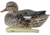 Avian X Topflight Gadwall Decoy, AVX-AVX8085