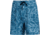 AVID Sportswear Tortuga Volley Shorts - Mens, Clearwater Abyss, Small/Medium, MS12400CWASM