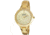 Axcent Pure Watch, Gold Bracelet, Gold Face, Gold Hands X43748-752
