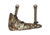 Badlands Bow Boot, Approach Og, 21-41686