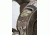 Badlands Scout Pack, Backback, Approach FX 21-37217