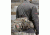 Badlands Tree Hugger Fanny Backpack, Approach FX 21-36894
