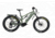 Bakcou Storm 19in Frame 19.2ah eBike, Matte Army Green, 9502553341452