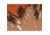 Bald Eagle 12 Pc. Gunstock Carving Chisel Set BE1038