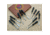 Bald Eagle 12 Pc. Gunstock Carving Chisel Set BE1038