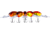 Bandit 300 Series Crankbait, 2in, 1/4oz, Malfunction, BDT3D71