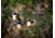 Barebones Edison String Light, Antique Bronze, LIV-265