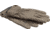 Barebones Kunar Utility Glove Clay XL