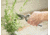 Barebones Pruner, Metal, 8in x 2.95in x 1.25in, GDN-051
