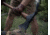 Barebones Pulaski Axe, 21 in. Beechwood Handle, HMS-2112