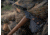 Barebones Pulaski Axe, 21 in. Beechwood Handle, HMS-2112