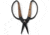 Barebones Small Scissors, Wooden Handle, 2in Heat-Treated Stainless Steel Blade, GDN-059