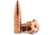 Barnes Barnes TSX .350 Legend 170 Grain TSX FN FB Pistol Ammo, 50 Rounds, 32078-50RD