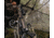 BARNETT BAR78248 HYPER RAPTOR TREX