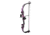 Barnett Tomcat G3 Bow, Purple, BAR30018