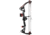Barnett Lite Compound Bow Package, Right Hand, 28 lbs, 15-22 in., Black, BAR30021