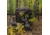 Barronett Blinds Big Mike HD Hunting Blind, Crator Core Camo, 012642022272