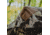 Barronett Blinds Big Mike HD Hunting Blind, Crator Core Camo, 012642022272