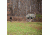 Barronett Blinds Big Ox Hub Blind, Backwoods Camo, BX350BW