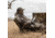 Barronett Blinds Gobbler Chair, Crater Thrive, BC108