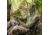 Barronett Blinds Gobbler Chair, Crater Thrive, BC108