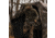 Barronett Blinds Grandview, See-Through Hunting Blind, View-Through Fabric, Silent Shooting Windows, Bloodtrail Backwoods, 82in x 105iin x 103in, Bloodtrail Backwoods, 4-Person, GV450BW
