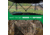 Barronett Blinds Grandview, See-Through Hunting Blind, View-Through Fabric, Silent Shooting Windows, Bloodtrail Backwoods, 82in x 105iin x 103in, Bloodtrail Backwoods, 4-Person, GV450BW