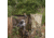 Barronett Blinds Panel Face-Off Hunting Blind, Crater Thrive, Adjustable, FA101CT