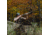 Barronett Blinds Panel Face-Off Hunting Blind, Crater Thrive, Adjustable, FA101CT