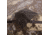 Barronett Blinds Pentagon Heavy Duty 5 Sided Hunting Blind, Crater Core, 4-Person, PTHD550CC