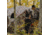Barronett Blinds Pentagon Hunting Blind, Backwoods Camouflage PT550BW