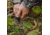 Barronett Blinds Pentagon Hunting Blind, Backwoods Camouflage PT550BW