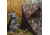 Barronett Blinds Prowler 300, Blood Trail Camo, PR300BT