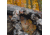 Barronett Blinds Prowler 300, Blood Trail Camo, PR300BT