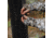 Barronett Blinds Radar 2 Person Hub Blind, Backwoods Camo, RA200BW