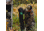 Barronett Blinds Tripod XL Folding Chair, Camo, BC101