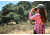 Barska 12x60, Level Binoculars, Porro, Fully Multi-Coated, Black AB12466