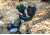 Loaded Gear GX-200 Loaded Gear Tactical Backpack,13.75x7x19.3in,Dark Earth BI12342