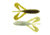 Bass Assassin Logger Toad Topwater, 5, 4in, Bullfrog, LT02397