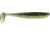 Bass Assassin Lures Elite Shiner, 4in, 8 per Pack, Rainbow Shad, 4, ES95462